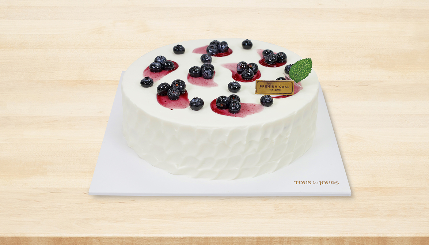 Blueberry Yogurt #3